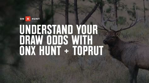 odd hunter|hunting draw odds.